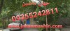 کارگاه شامل.
دو هزار متر مساحت کل. 
سوله 11m  *   55M
نوسا...  ابزار.
...  مصالح.
...  اداری.
...  کارگرا...  .
برق دیماند...  شهردار